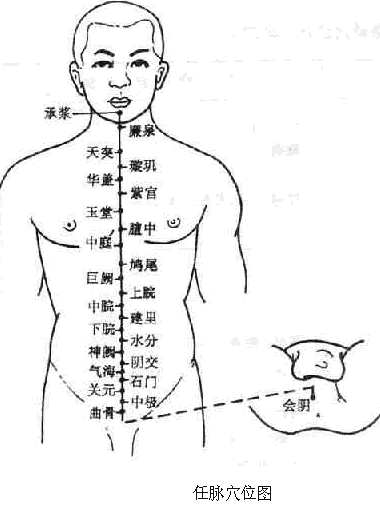 任脉的循行及其生理功能