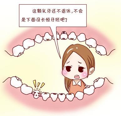 乳牙滞留会带来什么危害