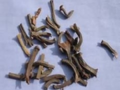 桂丁的功效与作用