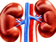 肾结石可以用什么方法治疗，价格标准多少