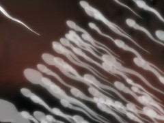 用十种方法培育优质精子