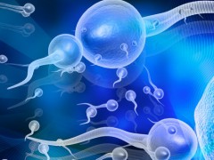 男人为什么会出现少精？少精症的4大诱因 不可不防！