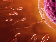 男人精子过多也致不孕不育