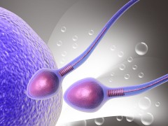 养精一世 伤精一时？这些伤害精子的行为 你还在继续吗？