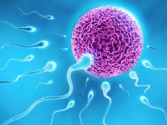 现代女性大多有不孕不育的情况 是真的吗？