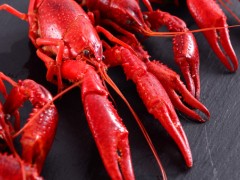 五种食物易让你惹上口臭 远离口臭尽量少吃肉