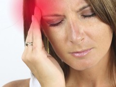 登革热病毒与人蚊子的关系