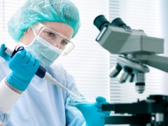 登革热病毒要在几级实验室