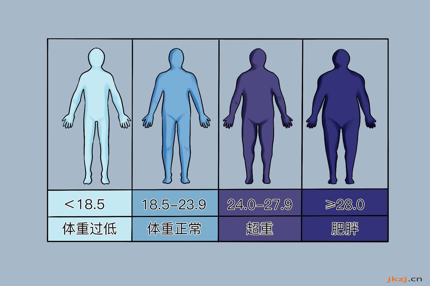 BMI体型对照图