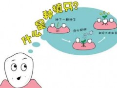 南京种一颗牙大概要多少钱？这些内容你都知道吗？