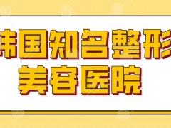 韩国知名整形美容医院有哪些？医院排行榜|ID整形、原辰整形等上榜！