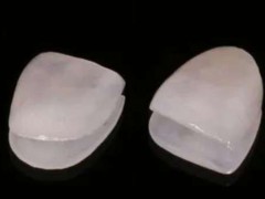 成都牙科医院排名揭晓！口碑声誉排行探究，点评曝光准确把握