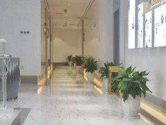 成都十大微整形医院排名榜公布！来瞧瞧2025新口碑名单有哪些吧？