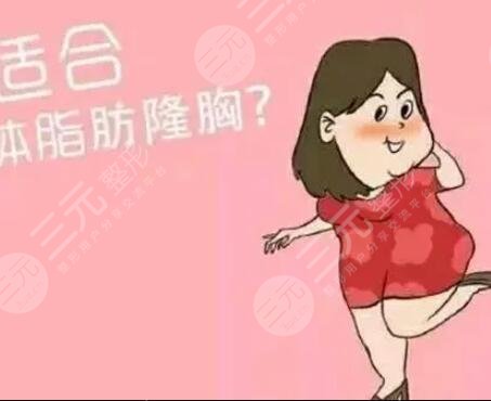 自体脂肪隆胸3