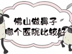 佛山做鼻子哪个医院比较好？市第一人民医院、美莱等5家实力对比！
