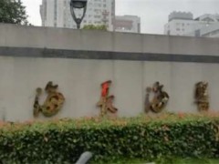 上海隆鼻整形医院哪家好？了解上海有口碑的隆鼻医院