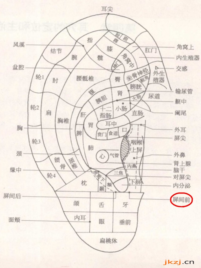 屏间前耳穴