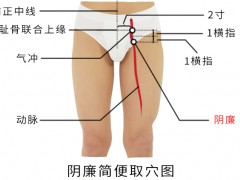 阴廉穴