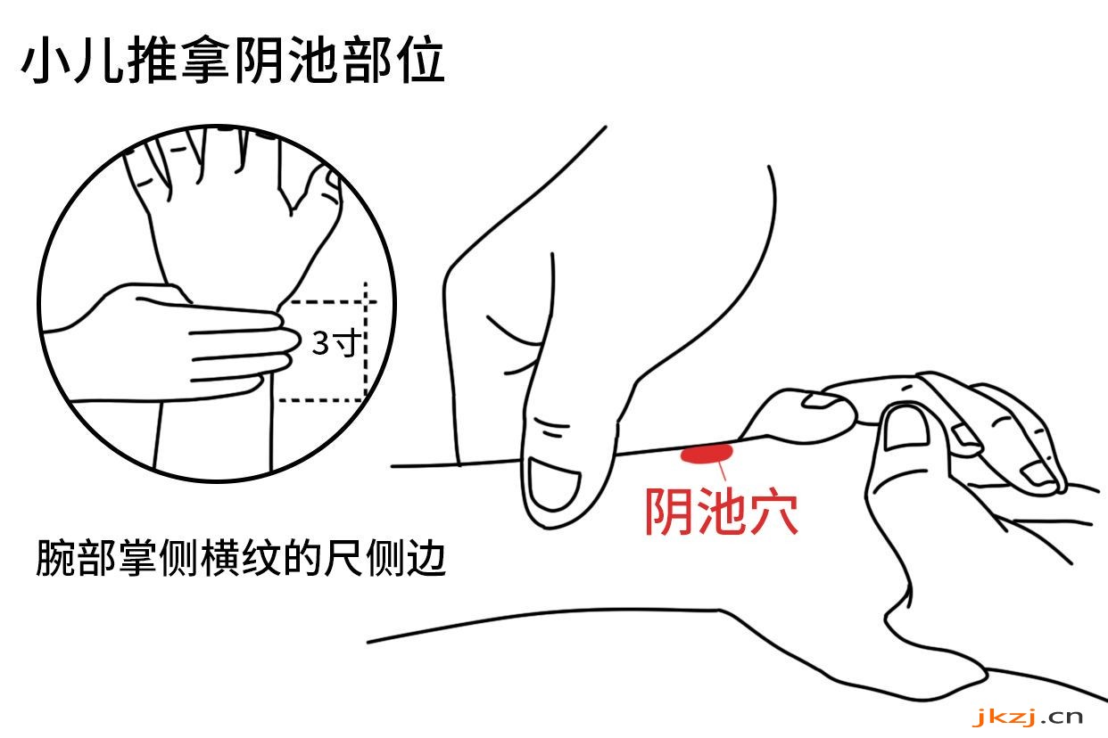 小儿推拿阴池穴部位图片