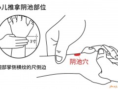 阴池穴，阴池穴准确位置图和作用及功效