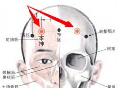 本神穴，本神穴准确位置图和作用及功效