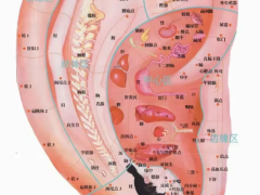 腹耳穴，腹耳穴准确位置图和作用及功效