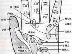 手心穴，手心穴准确位置图和作用及功效