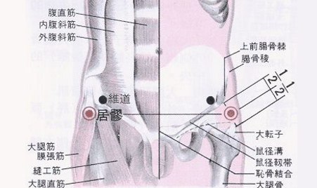 居髎穴准确位置图
