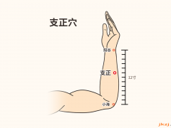 支正穴，支正穴准确位置图和作用及功效