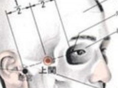上关穴，上关穴准确位置图和作用及功效