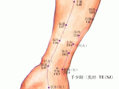 内阳池穴，内阳池穴准确位置图和作用及功效