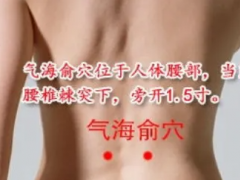 气海俞穴，气海俞穴准确位置图和作用及功效