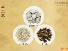 牵正散处方用法用量及主治功能