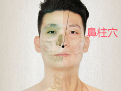 鼻柱穴，鼻柱穴准确位置图和作用及功效